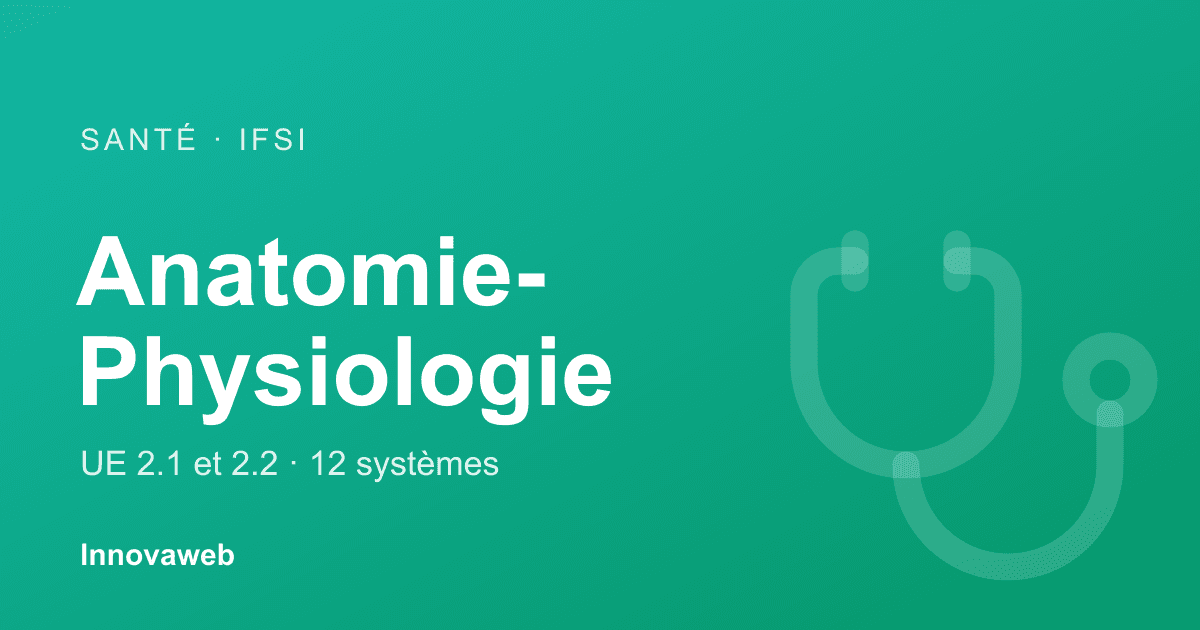 Cover de l'article : anatomie-physiologie en IFSI (UE 2.1 et 2.2)